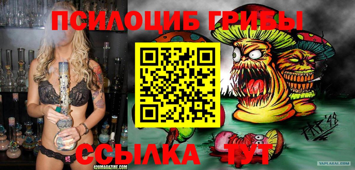 Камышлов  Псилоцибиновые грибы ЛСД  Вход с VPN  Галлюциногенные грибы мухоморы 